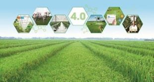 Chính sách khuyến khích phát triển hợp tác, liên kết trong sản xuất và tiêu thụ sản phẩm nông nghiệp trên địa bàn tỉnh Quảng Nam