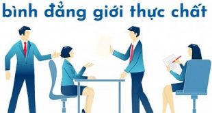 Tổng hợp các quy định pháp luật về bình đẳng giới ở Việt Nam