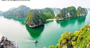 Trắc nghiệm Nghị quyết Đại hội Đại biểu Đảng bộ tỉnh Quảng Ninh lần thứ XVI, nhiệm kỳ 2025 – 2030