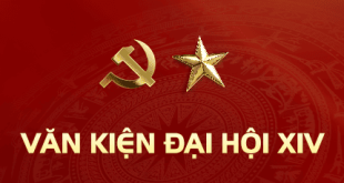 Trắc nghiệm văn kiện Đại hội lần thứ 14 của Đảng